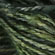 malabrigo Angora Yarn