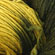 malabrigo yarn