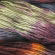 malabrigo yarn