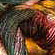 malabrigo yarn