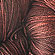 malabrigo sock cordovan