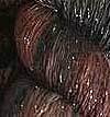 artyarns cashmere glitter