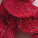 Silk Mohair Yarn by Artyarns 101