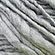 Bamboo Yarn