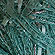 Be Sweet Ribbon Ball in Pale Green