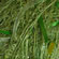 Be Sweet Ribbon Ball in Green