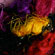 sari silk yarn