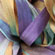 Big Stitch Handpainted Silk Ribbon