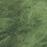 Brushed Suri in Agave