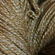 Blue Sky Alpacas Yarn