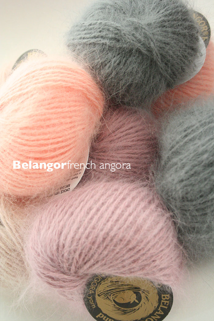 Belangor French Angora