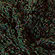 Alpaca Boucle Color