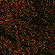 Alpaca Boucle Color