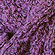 Alpaca Boucle Color