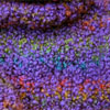 Wool Boucle Yarn Purple