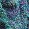 Wool Boucle Yarn Teal