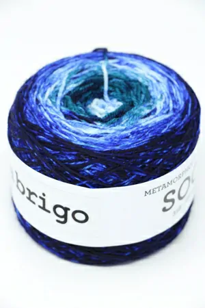 Malabrigo Metamorphosis Sock GLOWWORM