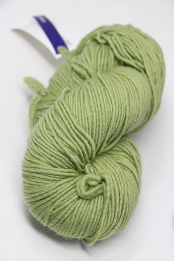 Malabrigo worsted merino in Moss 505		