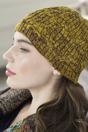 Malabrigo Book 15 - Time for Hats carmela