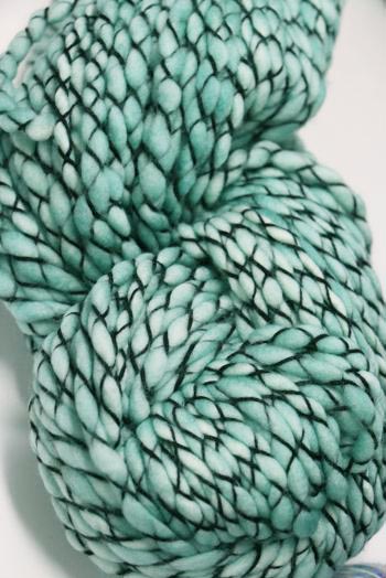 Malabrigo Caracol in Water Green