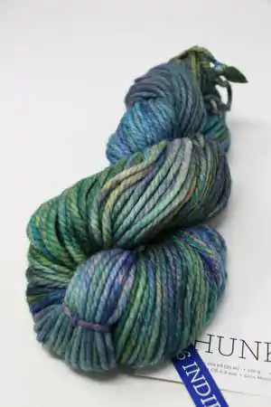 Malabrigo Chunky Yarn in INDICIETA (416) 