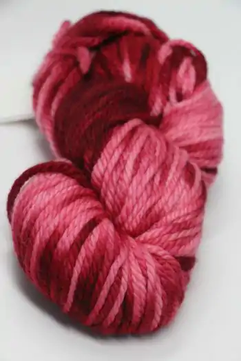 Malabrigo Chunky Yarn in  Glazed Carrot 