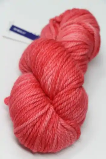 Malabrigo Chunky Yarn in  MOLLY 