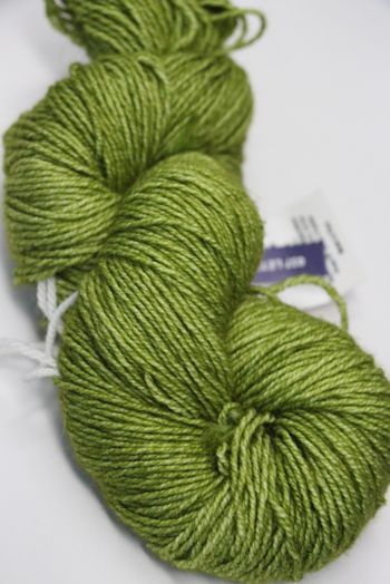 Malabrigo Dos Tierras - Lettuce 037