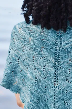 Malabrigo Kits - Silky Merino - Corriente Shawl