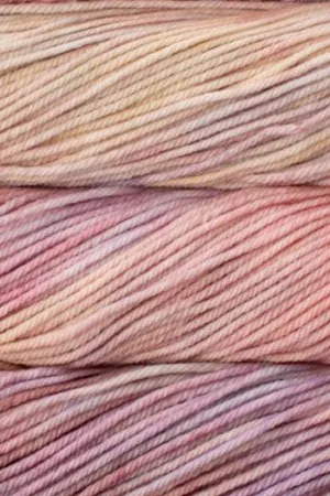 Malabrigo Rios Superwash worsted in ROSALINDA (398)
