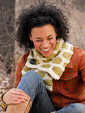 Blue Sky Fibers Knitkit