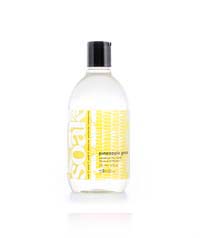 Soak Wash - PINEAPPLE GROVE - 12 oz