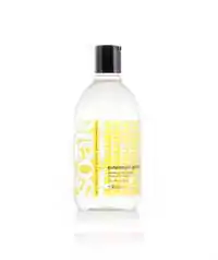 Soak Wash - PINEAPPLE GROVE - 12 oz