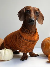 Urth Yarns canine sweater KNIT KIT
