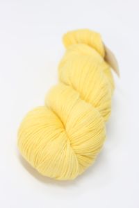 Artyarns National Park Partner Color