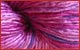Silk Yarn: Lilac Souffle