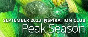 Artyarns Inspiration Club PEAK SEASON