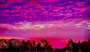Purple Sunset
