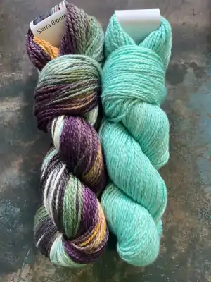 Artyarns JUNE 2023 KAL Kit: Sierra Bloom (SB and N30B)