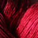 silk lace