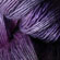 Artyarns Silk Essence