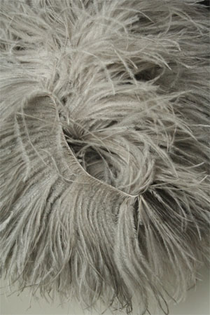 Grey on sale ostrich feathers