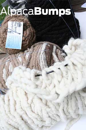 ALPACA wool bumps
