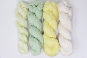 Blue Sky Fibers - Knit Kit