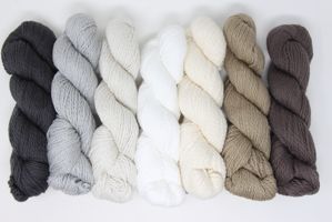 Blue Sky Fibers - Knit Kit