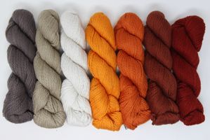 Blue Sky Fibers - Knit Kit