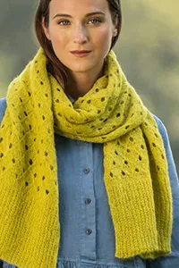 Blue Sky Fibers Knitkit aloe wrap