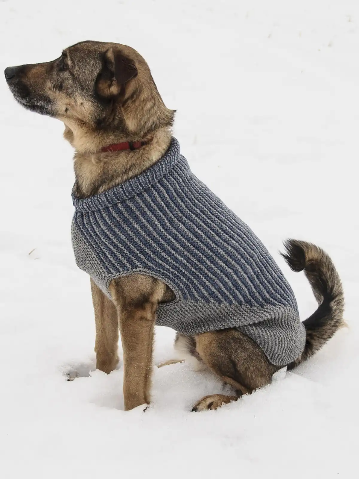 Brand Fashion Dog Sweater, Dog Sweater Knitwear