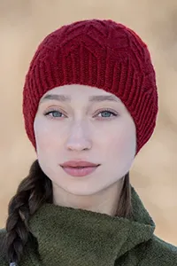 Blue Sky Fibers Knitkit Mountain Vista Hat