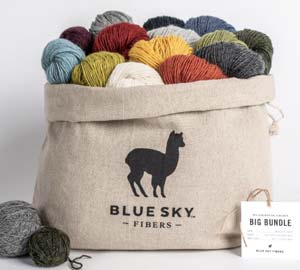 Blue Sky Woolstok Light Yarn